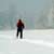 Snow Shoeing